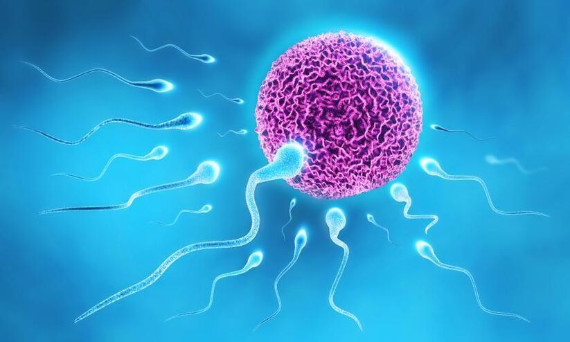 Sperma în compoziția lubrifiantului la bărbați