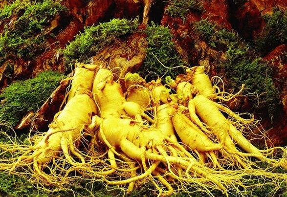 Droguri naturale împotriva potenței